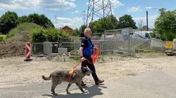 Arte Regards E951 Un chien à la recherche des disparus