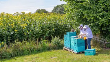 Energies de demain : en quête de solutions alternatives