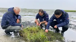 Arte Regards E975 Montée des eaux : aux Pays-Bas, on se prépare au pire