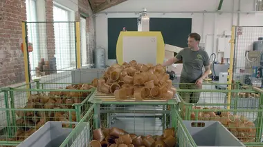 Plantes d'intérieur : vers une production durable