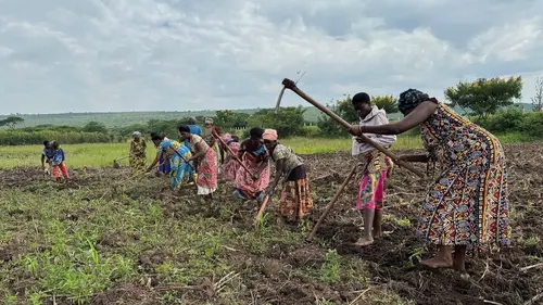 Arte reportage Spécial Rwanda