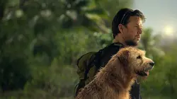 Visuel de Arthur the King