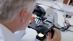 Artichaut, un coeur à prendre