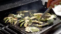 Artichaut, un coeur à prendre