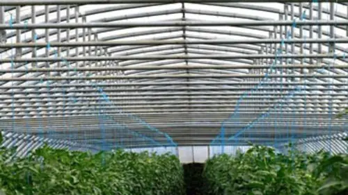 Artisans du changement S01E06 Aux portes de la croissance verte