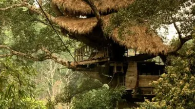 Ces voyageurs qui changent le monde