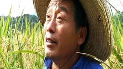 Artisans du changement