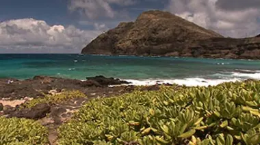 Les énergies du changement