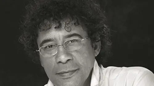 Artistes de France Laurent Voulzy