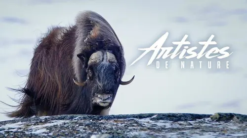 Artistes de nature