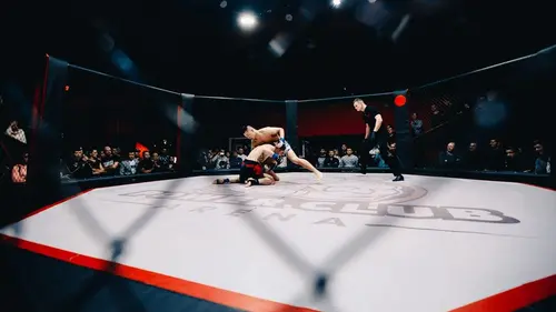 Arts martiaux ONE Championship