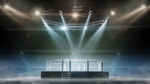 Arts martiaux PFL MENA