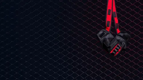 Arts martiaux PFL World Tournament