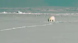 Arved Fuchs, l'explorateur des glaces