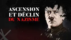 Ascension et déclin du nazisme