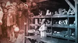 Ascension et déclin du nazisme  Völkermord 1942-1944