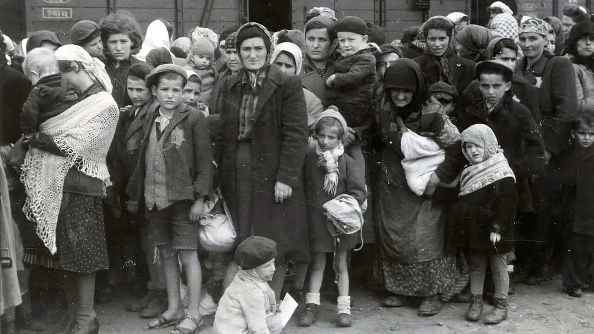 Ascension et déclin du nazisme Les racines du mal 1918-1922