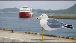 Asie insolite La Triennale de Setouchi