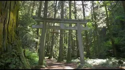 Asie insolite Tokyo, du réel au virtuel