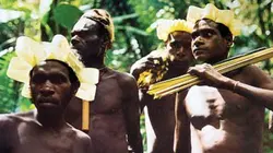 Visuel de Asmat, les hommes arbres