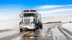 Audiences TV : Asphalt Cowboys