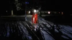 Assassination Nation