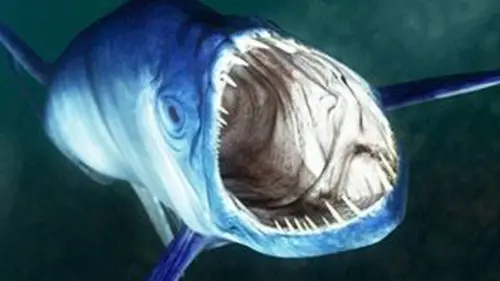 Assassins préhistoriques E01