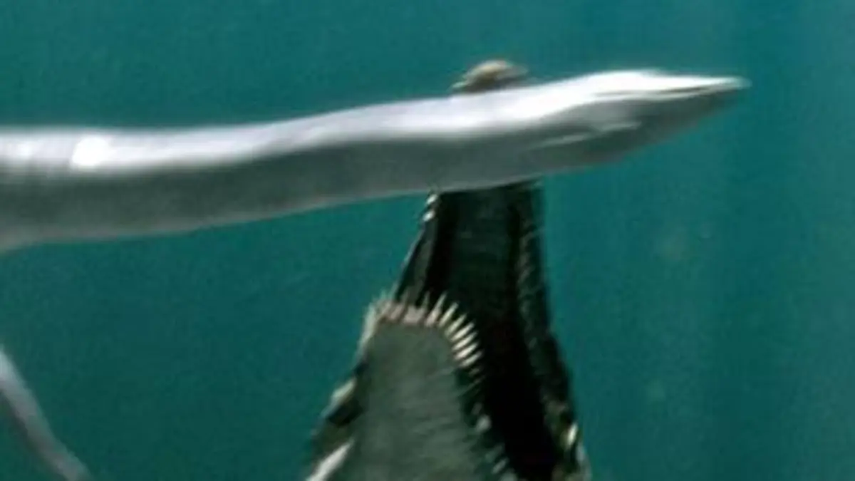 Assassins préhistoriques E02