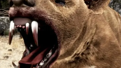 Assassins préhistoriques