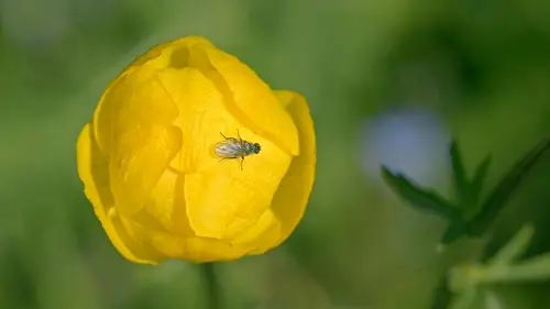Associations de bienfaiteurs La montagne