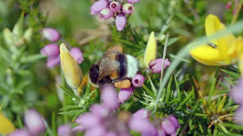 Associations de bienfaiteurs La lande