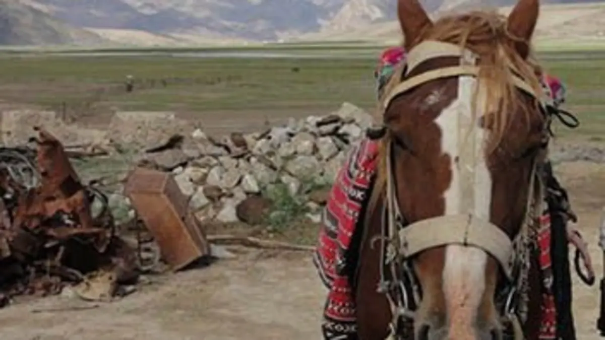 At Chabysh, le rendez-vous des cîmes