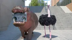 Athleticus  S03E06 Breakdance