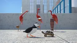 Athleticus  S03E09 Capoeira