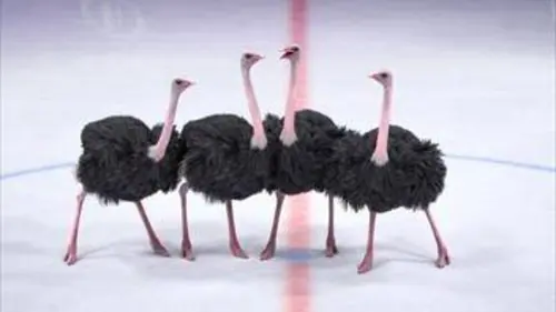 Athleticus S02E04 La surfaceuse