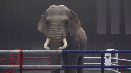 Casting Athleticus S03E30 Danse en ville