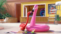 Athleticus S04E02 Amour de vacances