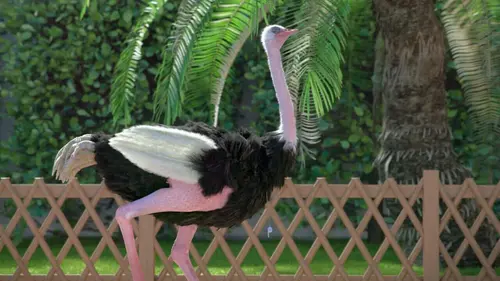 Athleticus S04E08 Maître-nageuse