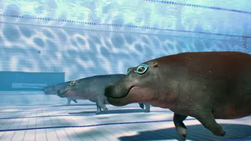 Athleticus S04E12 Entraînement du champion