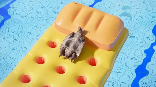 Athleticus S04E30 Natation synchronisée