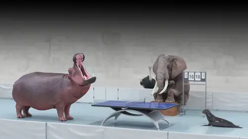 Athleticus S01E01 Tennis de table