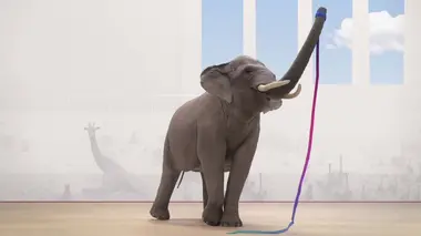 Gymnastique rythmique