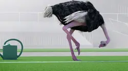 Athleticus S01E10 Jardinier de terrain de sport