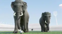 Athleticus S01E12 Gardien de but de football