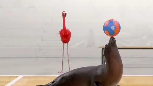 Casting Athleticus S01E13 Coach de handball