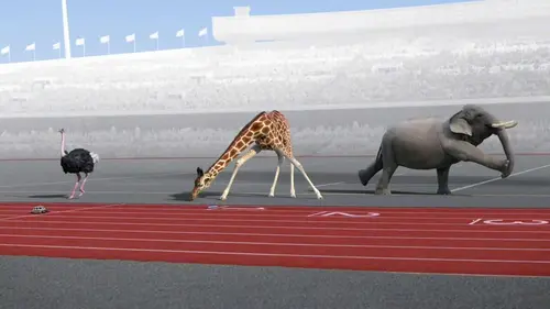 Athleticus S01E14 Course de relais