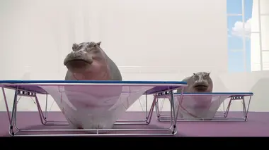 Trampoline synchronisé