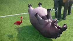 Athleticus S01E17 Football