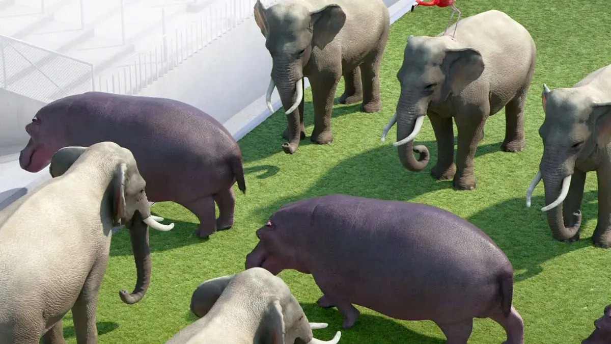 Athleticus S01E17 Football