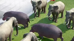 Athleticus S01E17 Football